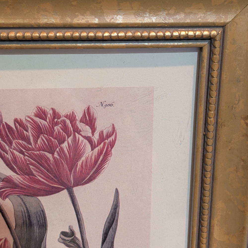 Vintage Framed Art Prints(Set)~Tulips~Johann Wilhelm Weinmann - Picture 6 of 11